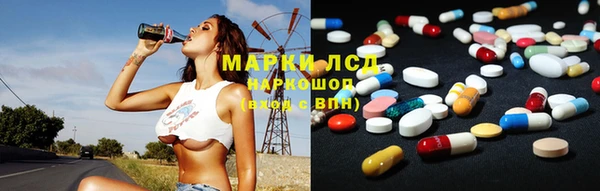 ПСИЛОЦИБИНОВЫЕ ГРИБЫ Алзамай