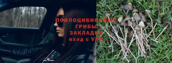 ПСИЛОЦИБИНОВЫЕ ГРИБЫ Алзамай